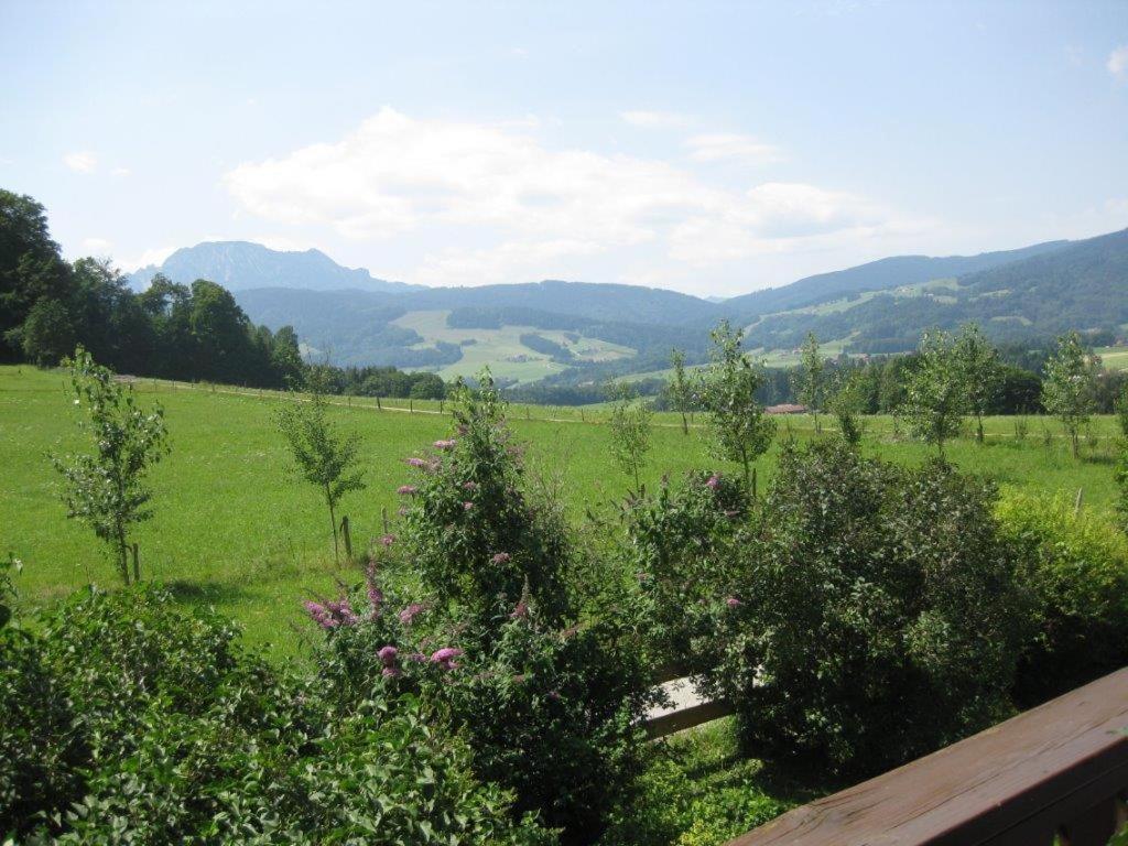 Apartament Obermoarhof Anger Zewnętrze zdjęcie